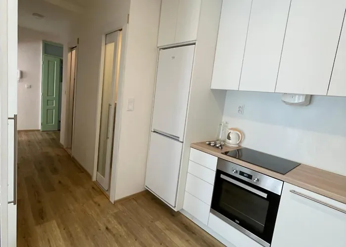 Vintage Apartment Ostrava Centrum - Free Parking *